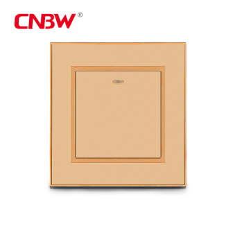 wall switch and socket