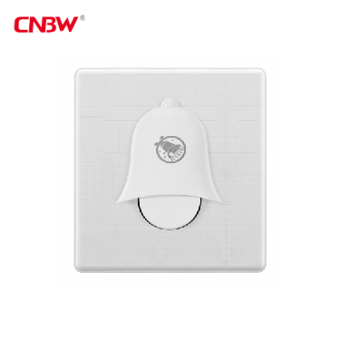 wall switch and socket