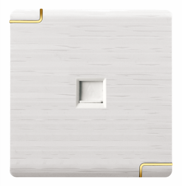 wall switch and socket