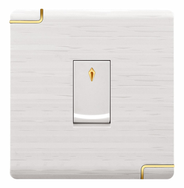 wall switch and socket