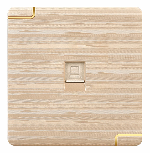 wall switch and socket