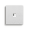 wall switch and socket