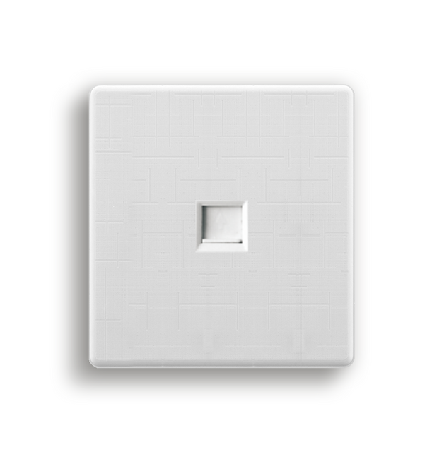 wall switch and socket