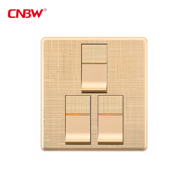 wall switch and socket