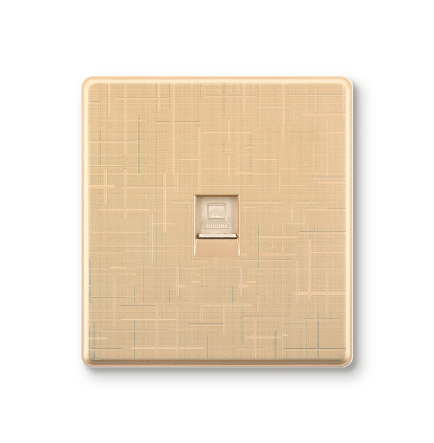 wall switch and socket