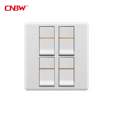 wall switch and socket