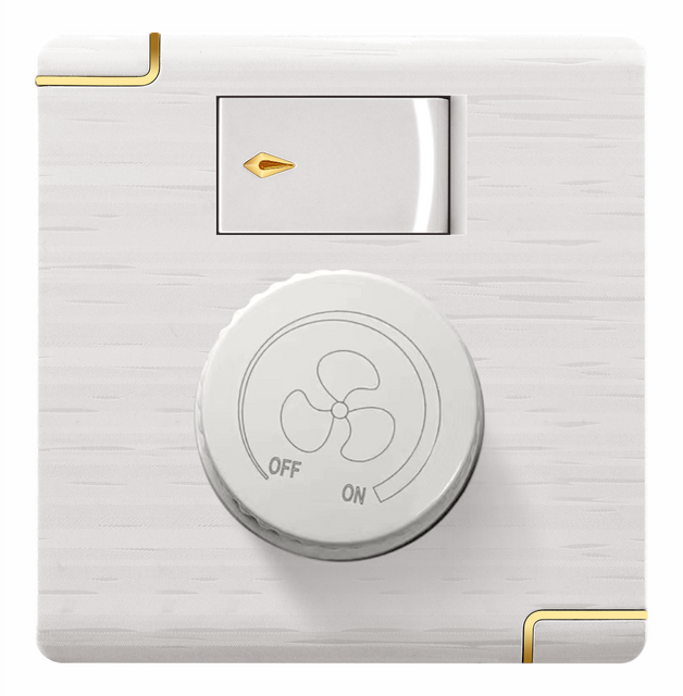 wall switch and socket