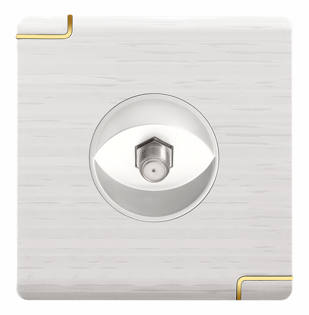wall switch and socket